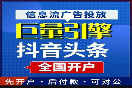 百度竞价广告与自然搜索排名的结合策略案例